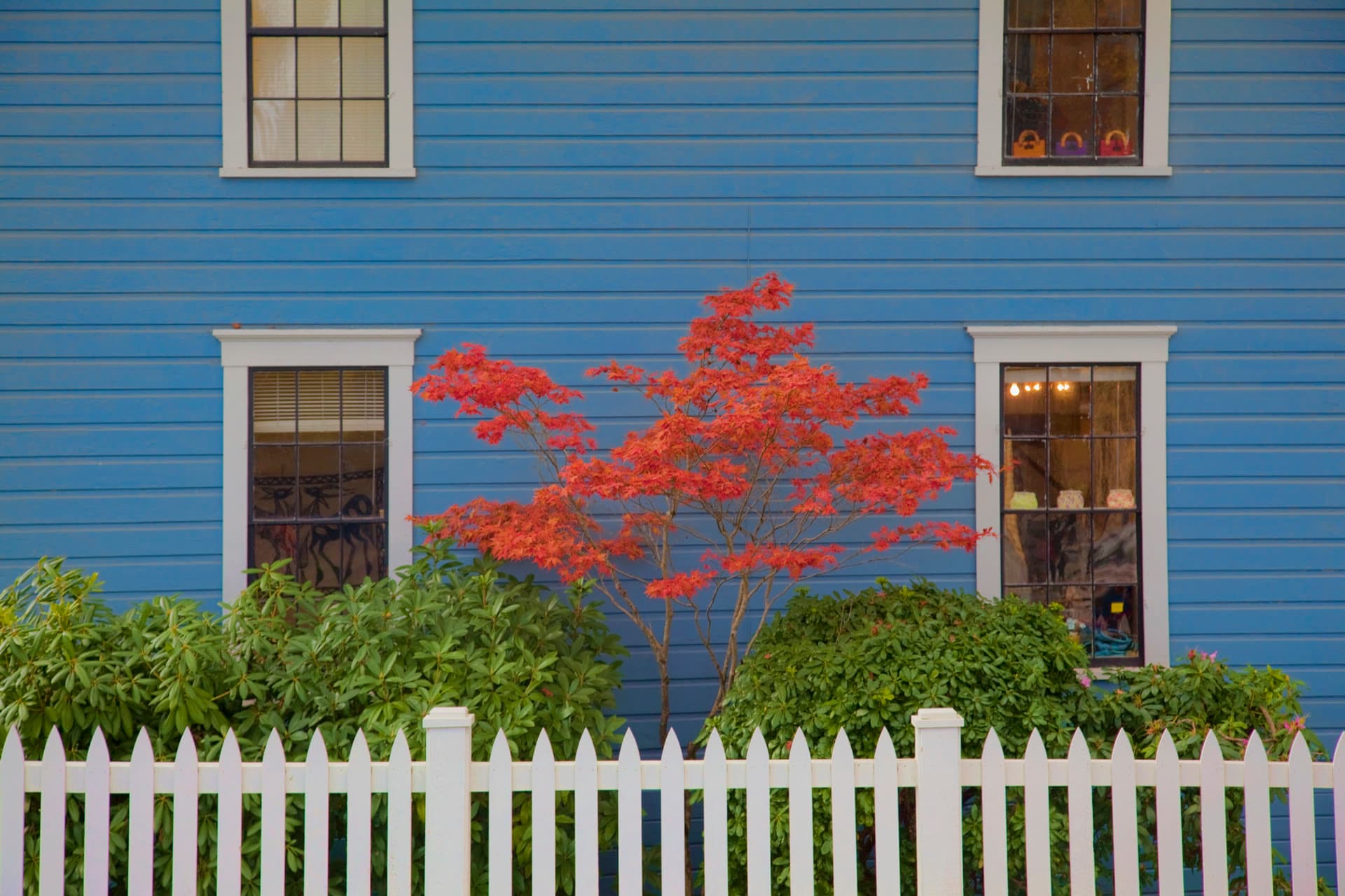Siding Installation & Replacement